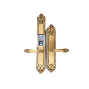 Khoá Điện Tử VT – 110 – DSF